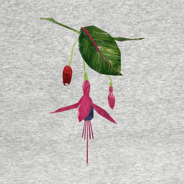 Fuchsia by Babban Gaelg